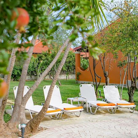 Navigator Villas - Houses Acharavi  Zewnętrze zdjęcie